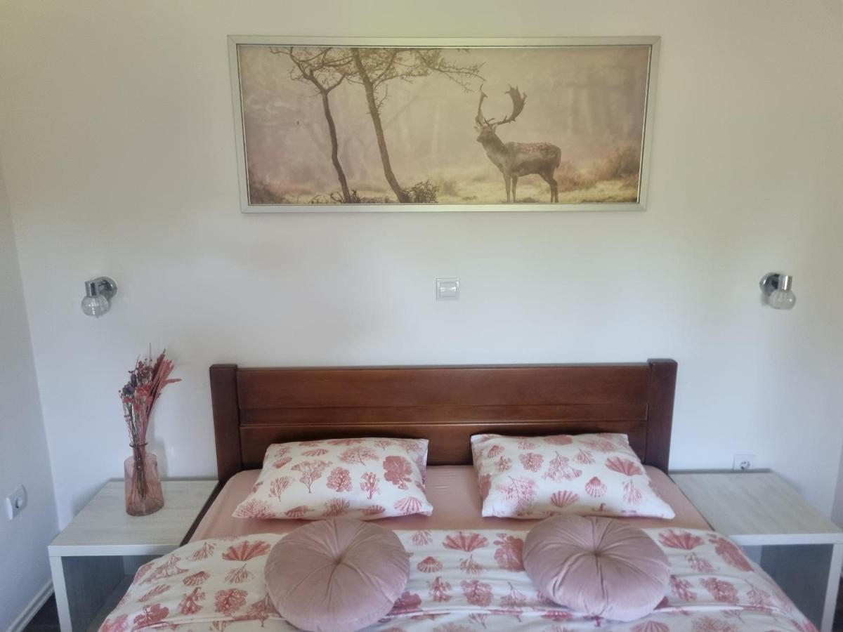 4 Seasons Guest House غاكوفيتسا المظهر الخارجي الصورة